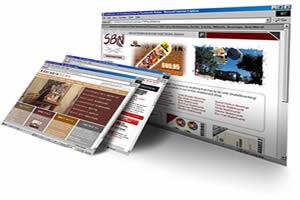 Professional web design, create online shops
